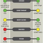 cold or flu